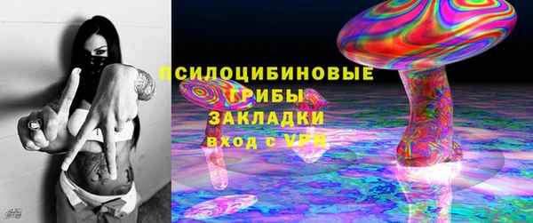 стафф Алексин
