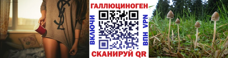 Галлюциногенные грибы MAGIC MUSHROOMS  mega как зайти  Жуков 